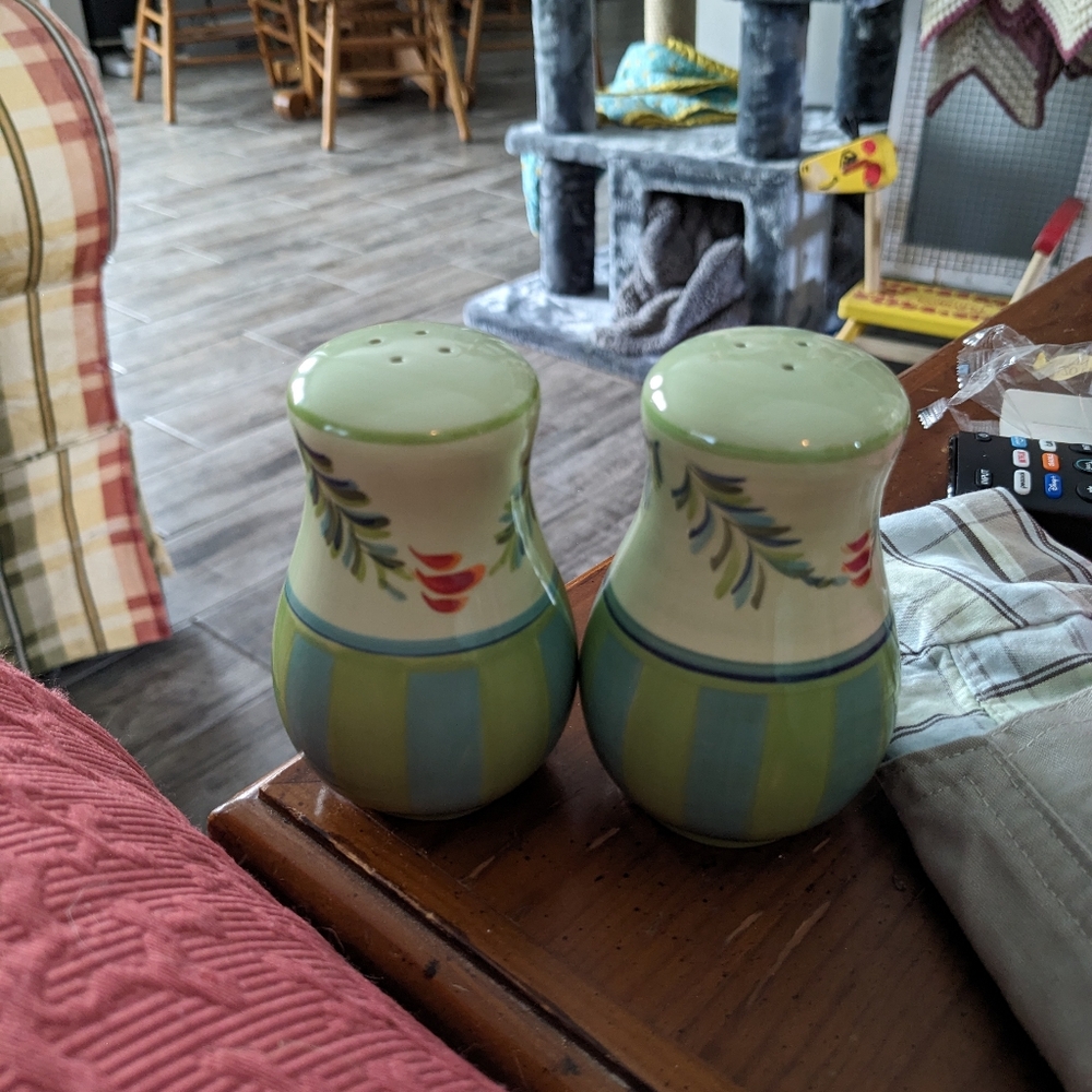 New in box southern living salt and pepper shakers